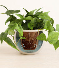 Load image into Gallery viewer, Shiny EggWhite stand:all
