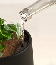 Load image into Gallery viewer, Black stand:all
