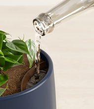 Load image into Gallery viewer, Deep Navy stand:all
