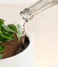 Load image into Gallery viewer, White stand:all
