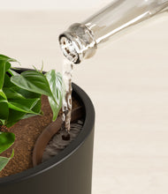 Load image into Gallery viewer, Black stand:all
