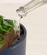 Load image into Gallery viewer, Deep Navy stand:all
