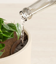 Load image into Gallery viewer, Cream stand:all
