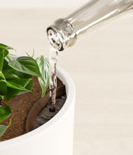 Load image into Gallery viewer, White stand:all
