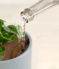 Load image into Gallery viewer, Pebble Shore stand:all
