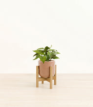 Load image into Gallery viewer, Hammered Peach Pink stand:bamboo
