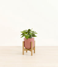 Load image into Gallery viewer, Hammered Rose Pink stand:bamboo
