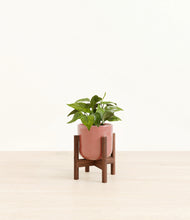 Load image into Gallery viewer, Hammered Rose Pink stand:walnut
