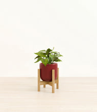 Load image into Gallery viewer, Striped Cherry Red stand:bamboo
