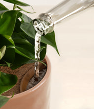 Load image into Gallery viewer, Hammered Peach Pink stand:all
