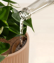 Load image into Gallery viewer, Striped Peach Pink stand:all
