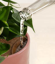 Load image into Gallery viewer, Hammered Rose Pink stand:all
