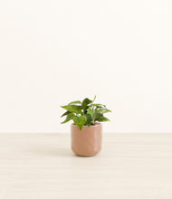 Load image into Gallery viewer, Hammered Peach Pink*****Profile
