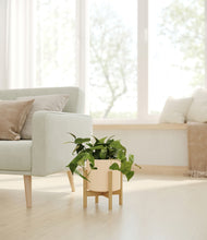 Load image into Gallery viewer, Cream stand:bamboo
