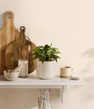 Load image into Gallery viewer, Snowdrift White
