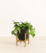 Load image into Gallery viewer, Stone Black stand:bamboo
