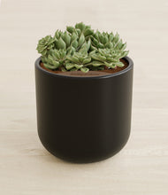 Load image into Gallery viewer, Stone Black stand:all
