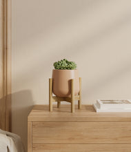 Load image into Gallery viewer, Gentle Pink stand:bamboo
