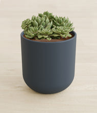 Load image into Gallery viewer, Iron Gray stand:all
