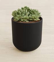 Load image into Gallery viewer, Stone Black stand:all
