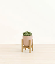 Load image into Gallery viewer, Sandy Pink stand:bamboo
