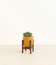 Load image into Gallery viewer, Sunset Orange stand:walnut

