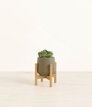 Load image into Gallery viewer, Olive stand:bamboo
