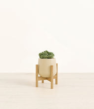 Load image into Gallery viewer, Almond Green stand:bamboo
