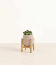 Load image into Gallery viewer, Eternal Gray stand:bamboo
