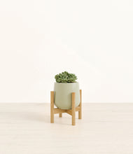 Load image into Gallery viewer, Turquoise stand:bamboo
