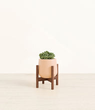 Load image into Gallery viewer, Gentle Pink stand:walnut
