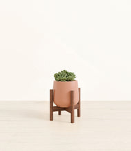 Load image into Gallery viewer, Calm Rose stand:walnut
