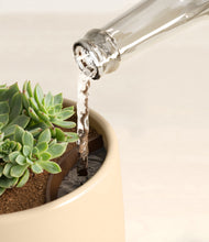 Load image into Gallery viewer, Almond Green stand:all
