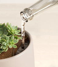 Load image into Gallery viewer, Eternal Gray stand:all
