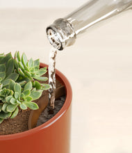 Load image into Gallery viewer, Glossy Red stand:all
