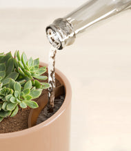 Load image into Gallery viewer, Glossy Pink stand:all
