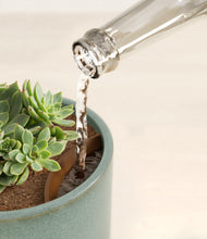 Load image into Gallery viewer, Reactive Aqua stand:all
