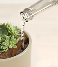 Load image into Gallery viewer, Sage Green stand:all
