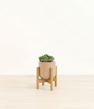 Load image into Gallery viewer, Glossy Pink stand:bamboo
