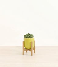 Load image into Gallery viewer, Key Lime Yellow stand:bamboo
