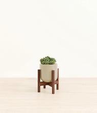 Load image into Gallery viewer, Sage Green stand:walnut

