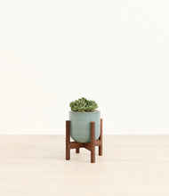 Load image into Gallery viewer, Reactive Aqua stand:walnut
