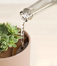 Load image into Gallery viewer, Sandy Pink stand:all
