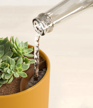 Load image into Gallery viewer, Sunset Orange stand:all
