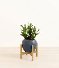 Load image into Gallery viewer, Deep Navy stand:bamboo
