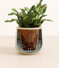 Load image into Gallery viewer, Almond Green stand:all
