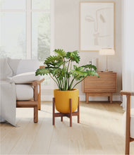 Load image into Gallery viewer, Sunset Orange stand:walnut
