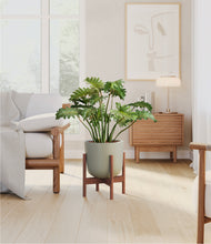Load image into Gallery viewer, Sage Green stand:walnut
