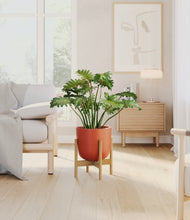 Load image into Gallery viewer, Earth Red stand:bamboo
