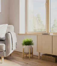 Load image into Gallery viewer, Eternal Gray stand:bamboo
